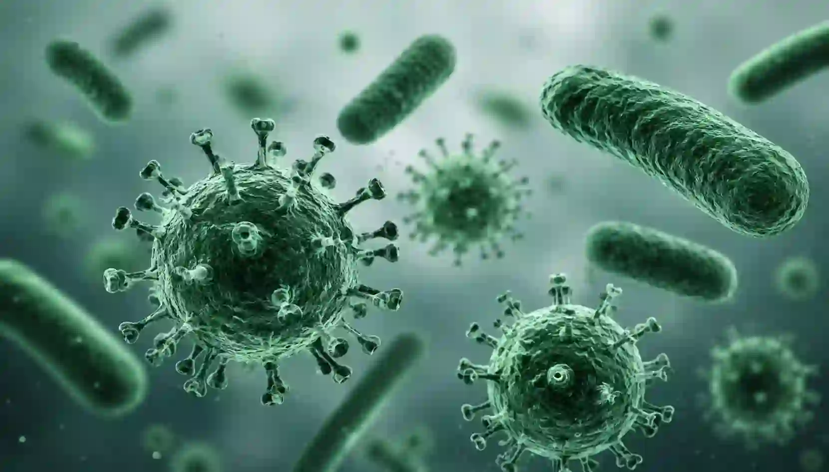 Micro-organismes pathogènes